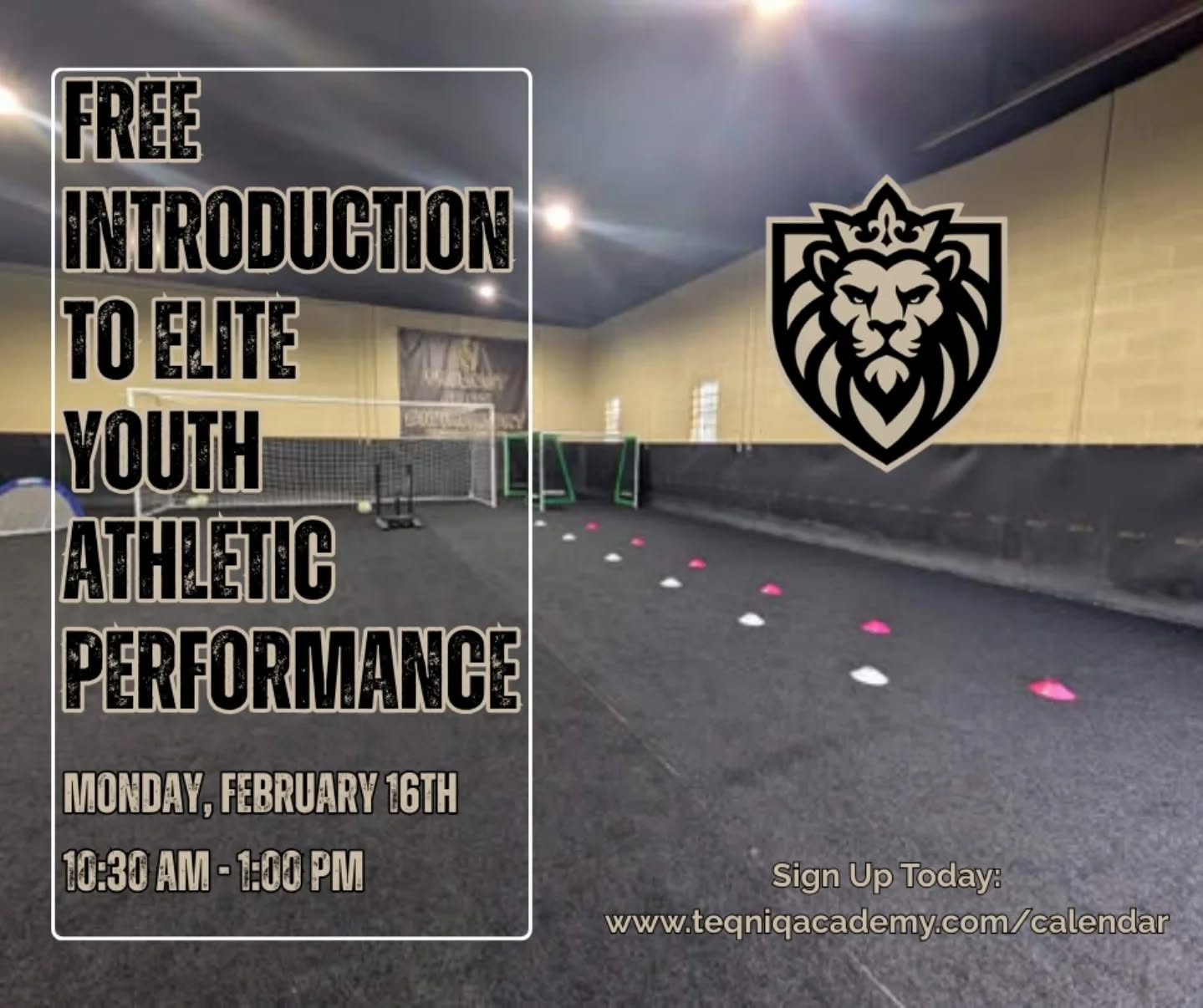 Attention youth athletes!  Join us on President's Day for a free introduction to elite youth athletic performance!  10:30am - 1p.

Ready to see how strength & conditioning training can improve your performance come game day?  Join us and be put to the test by our coaches and staff.

This session is designed for athletes ages 8-18.  Please message for more details.

Sign up today: www.teqniqacademy.com/calendar