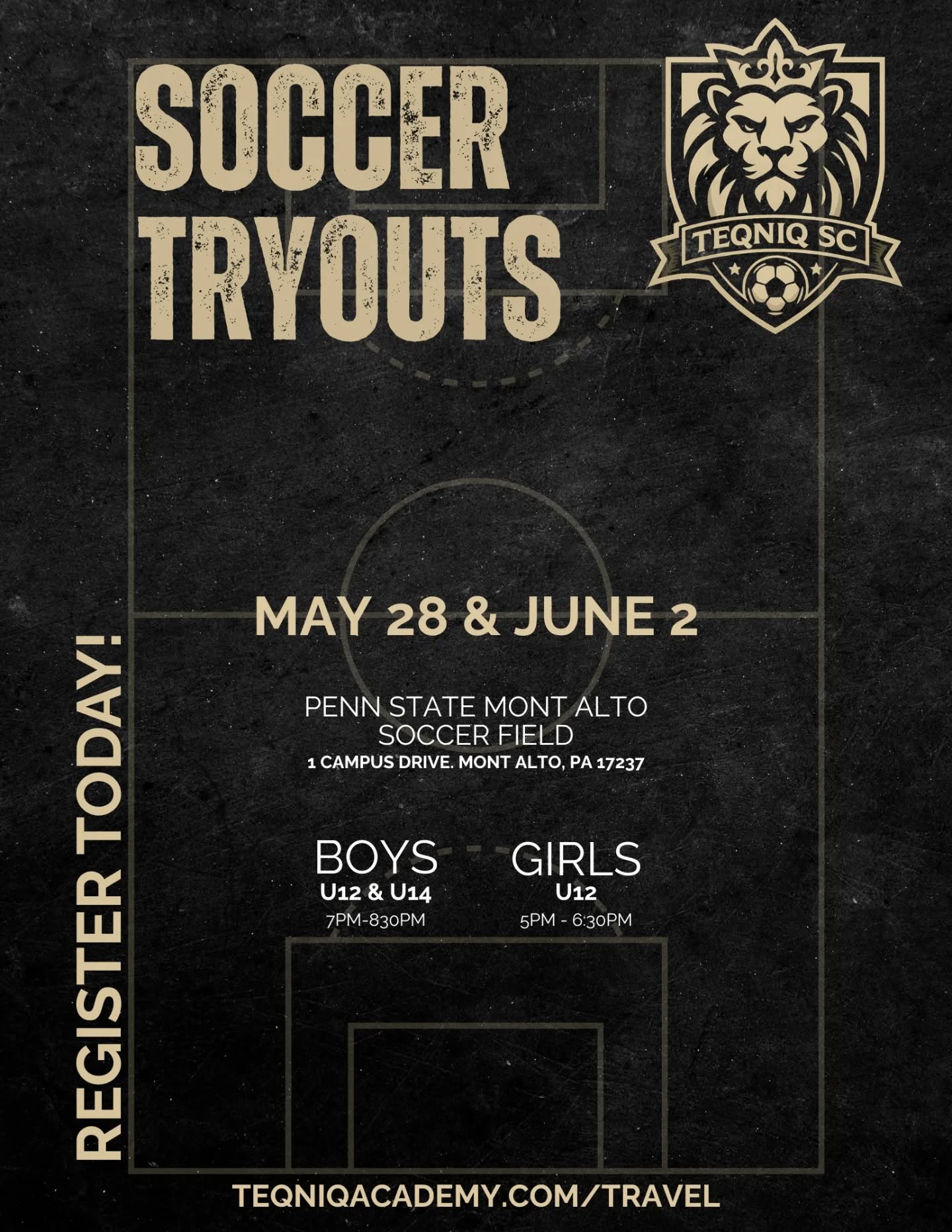 Year 1 loading...

www.teqniqacademy.com/travel for more information!